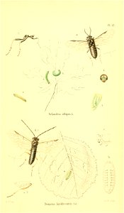 n426_w1150
