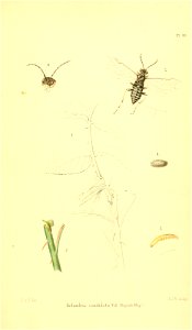 n422_w1150