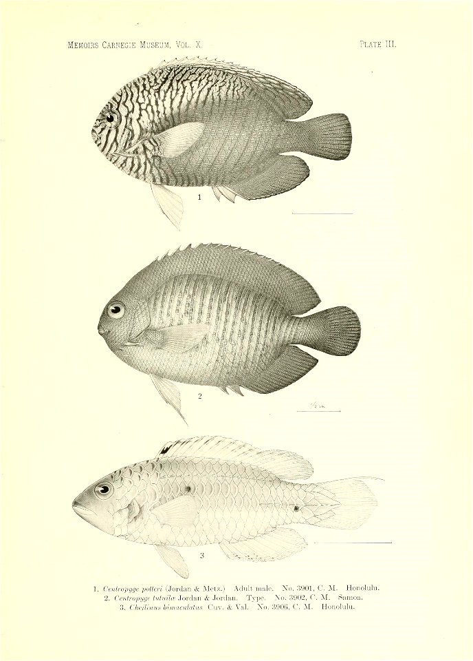 n102_w1150