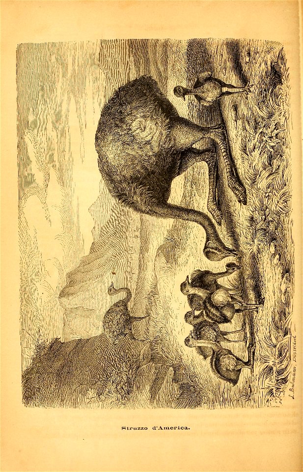 n545_w1150