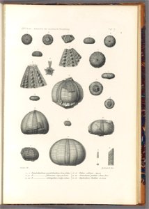 n114_w1150