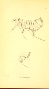 n193_w1150