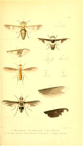 n116_w1150