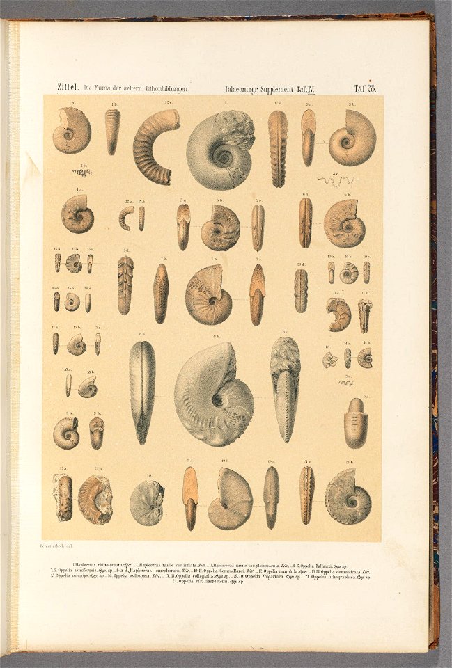 n14_w1150
