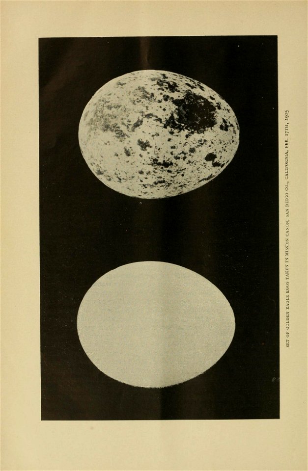 n57_w1150