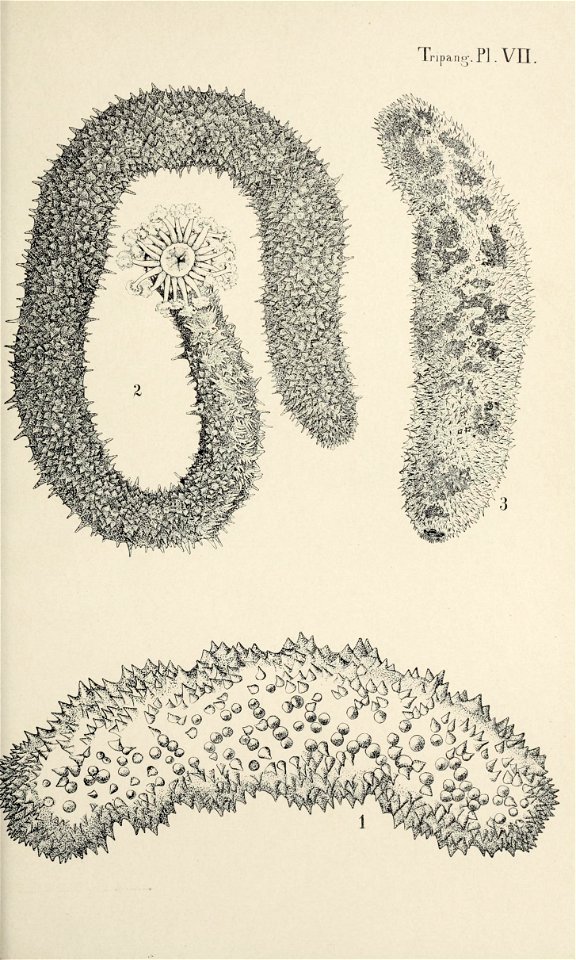 n92_w1150