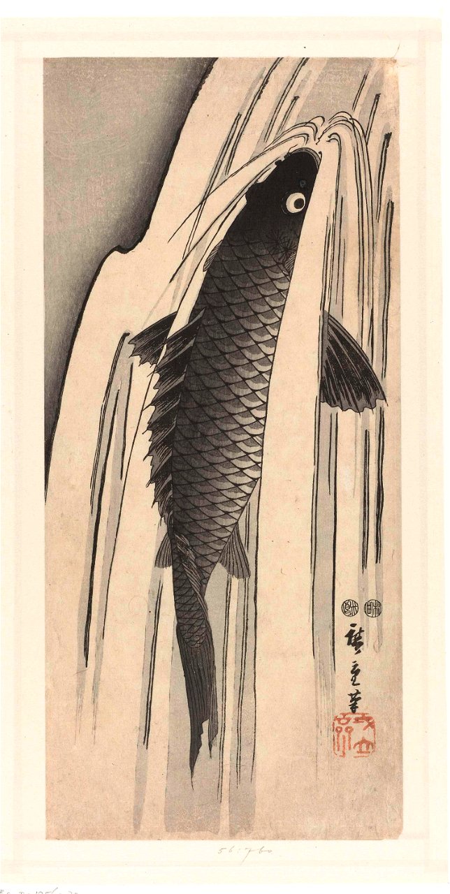 IdentificatieTitel(s): Karper opzwemmend tegen een watervalObjecttype: prent Objectnummer: RP-P-1956-760Catalogusreferentie: Jap Cat IV 61Opschriften / Merken: (Verso niet bekeken.)VervaardigingVervaa