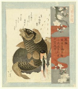 IdentificatieTitel(s): Vliegende pruimTobiume (titel op object)Een serie voor de Hanazono dichtersvereniging (serietitel)Hanazono bantsuzuki (serietitel op object)Objecttype: prent surimono Objectnumm