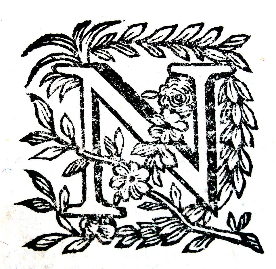 "Letra N"