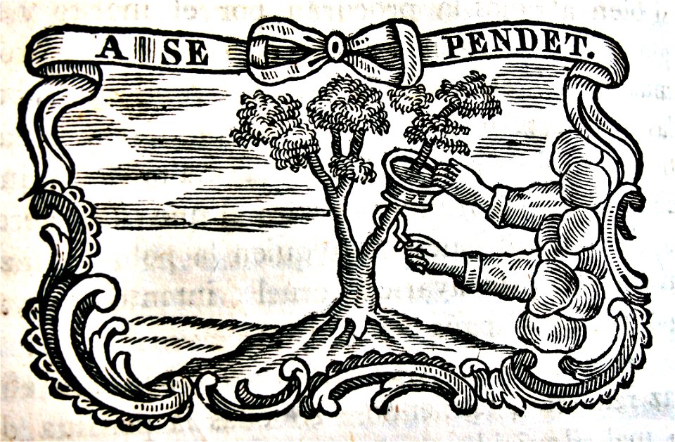 "A se pendet"