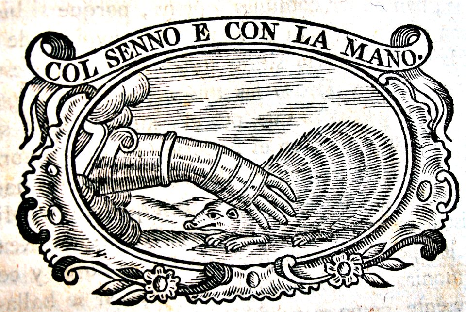 "Col senno e con la mano".