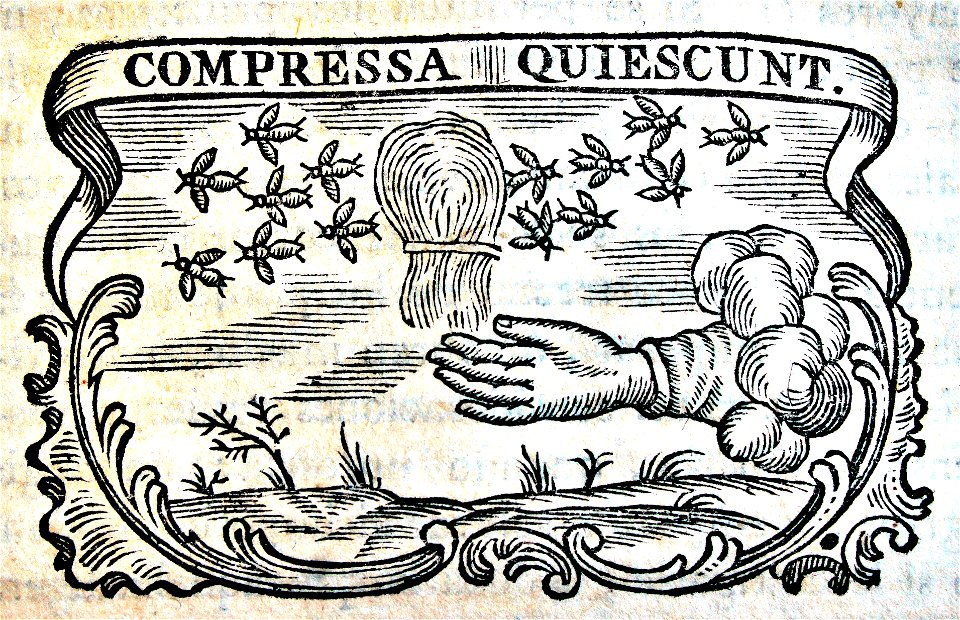 "Compresa quiescunt".