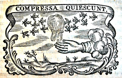 "Compresa quiescunt".