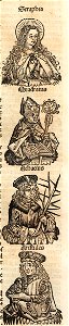 A335110_0267_02