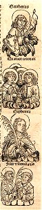 A335110_0293_02