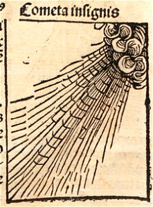 A335110_0469_03