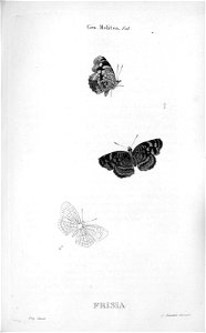 A1090526_0012