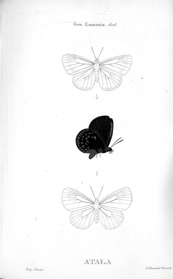 A1090526_0018