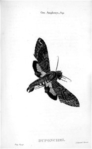 A1090526_0030