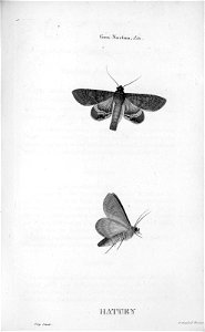 A1090526_0034