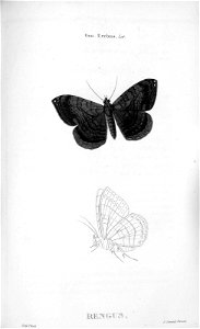A1090526_0038