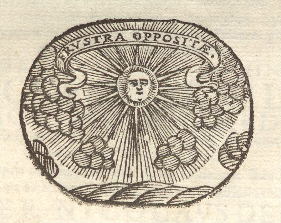 A11013311_0000