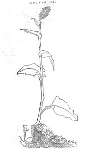 ARes453071_0071