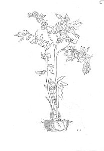 ARes453071_0056