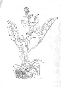 ARes453071_0070