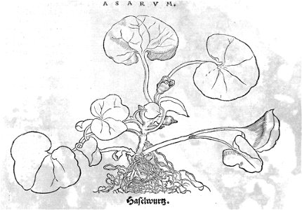 ARes453071_0080