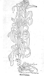 ARes453071_0143