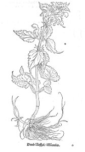 ARes453071_0162