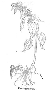 ARes453071_0161