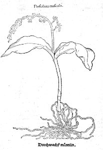 ARes453071_0191