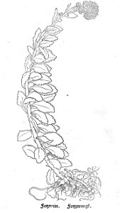 ARes453071_0223