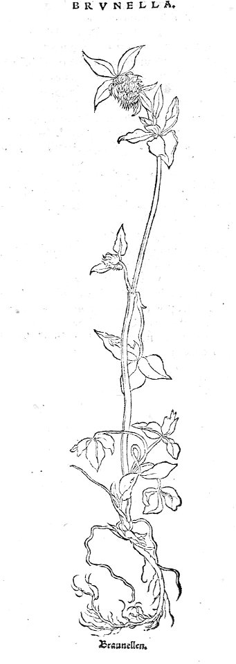 ARes453072_0025