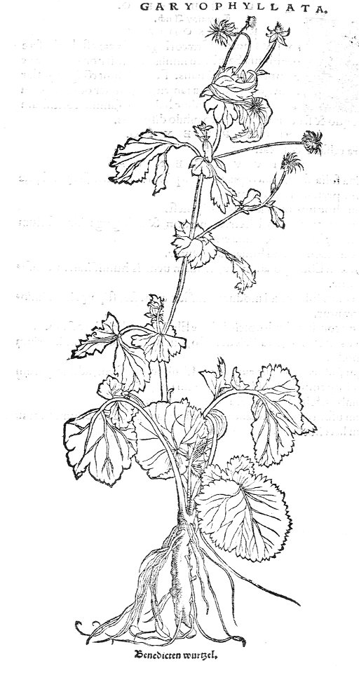 ARes453072_0023