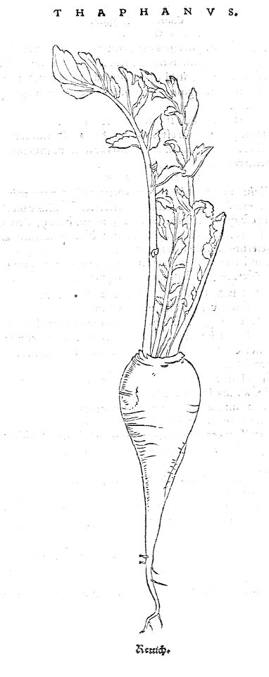 ARes453072_0200