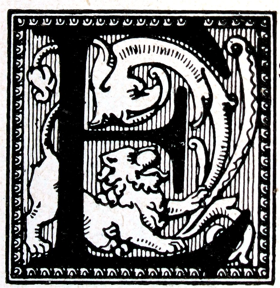 "Letra E"