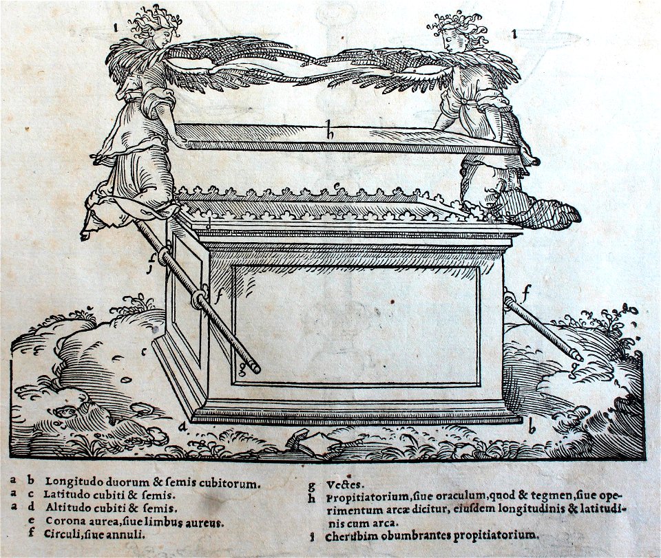 "Arca testimonii".