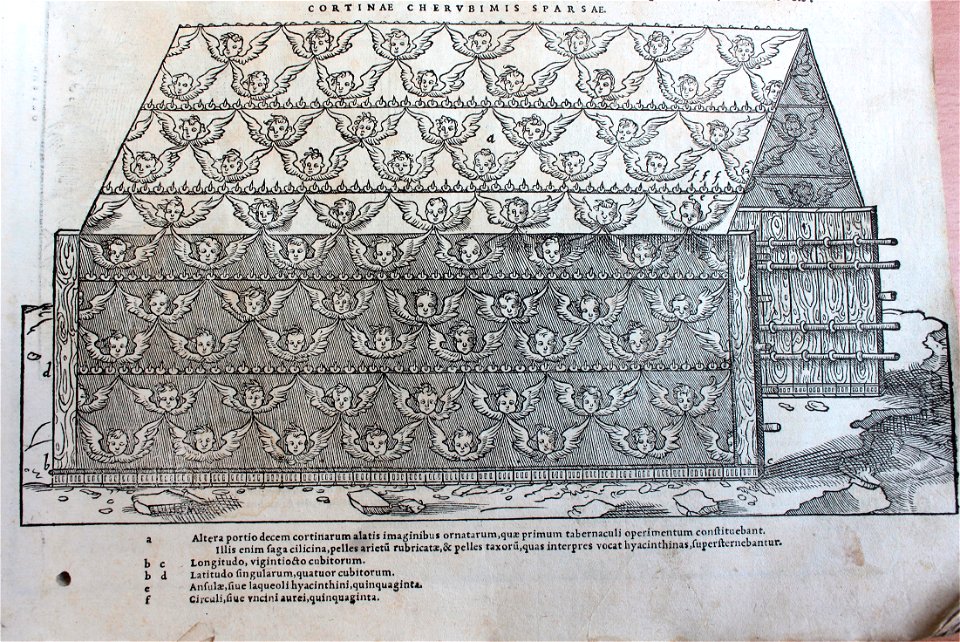 "Cortinae Cherubimis Sparsae"
