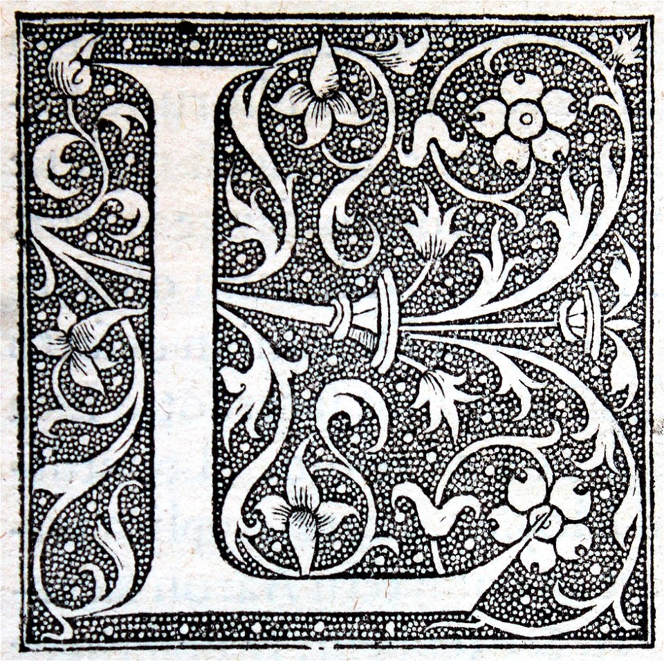 "Letra L"
