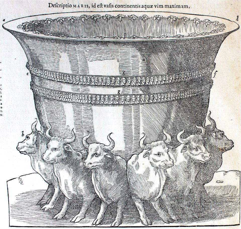 "Descriptio MARIS, ide est vasis continentis aquae vim maximan"
