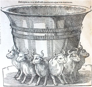 "Descriptio MARIS, ide est vasis continentis aquae vim maximan"