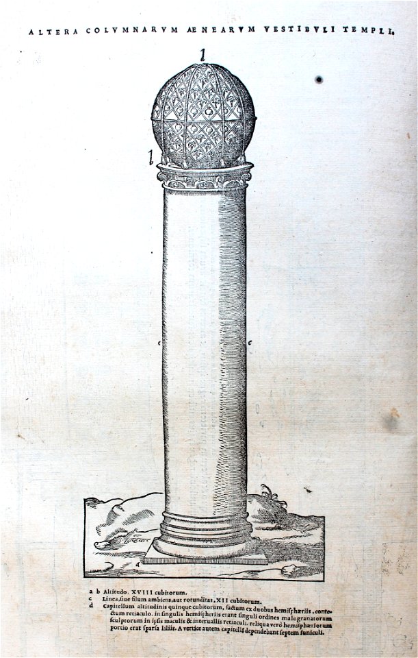 "Altera columnarum ae nearum vestibuli templi".. Free illustration for personal and commercial use.