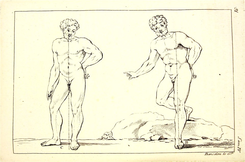 "Tratado de la pintura (El cuerpo humano)"