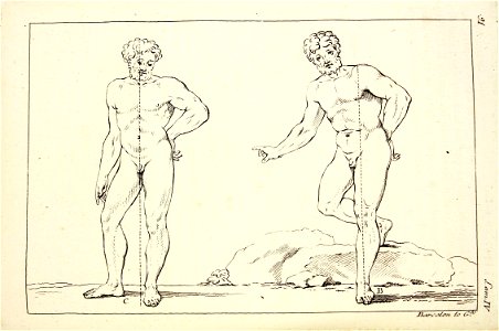 "Tratado de la pintura (El cuerpo humano)". Free illustration for personal and commercial use.