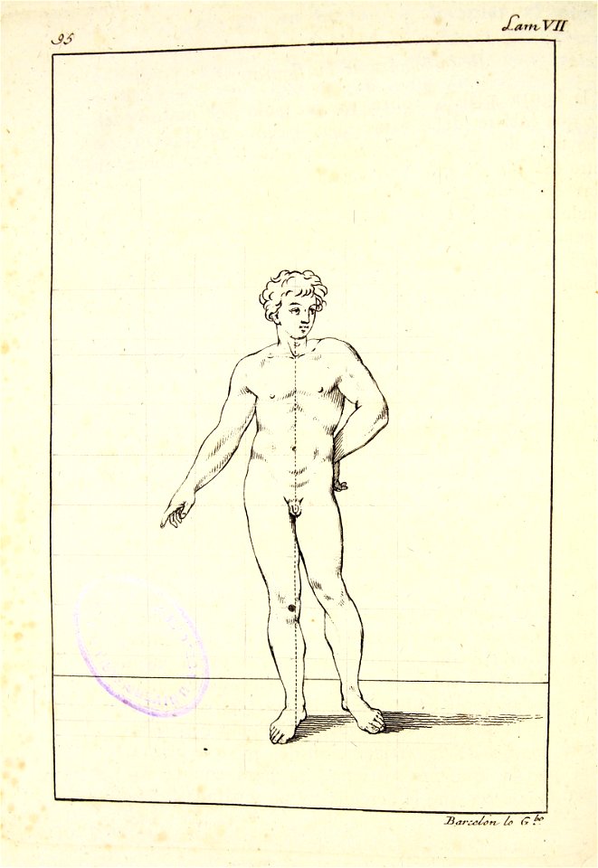 "Tratado de la pintura (El cuerpo humano)"