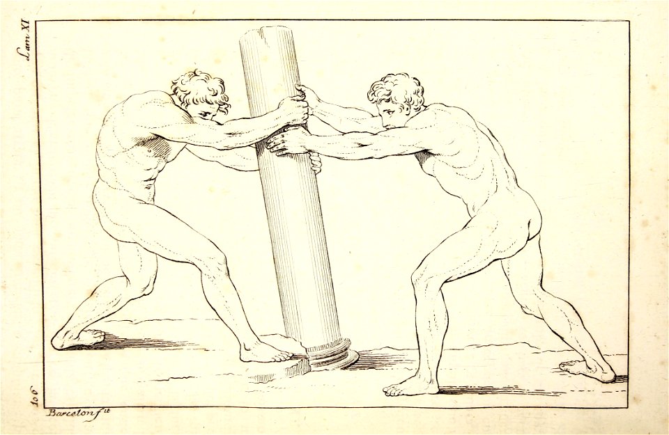 "Tratado de la pintura (El cuerpo humano)"
