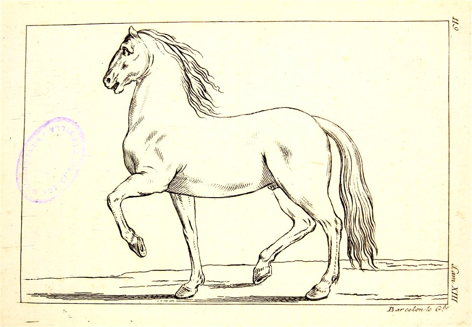 "Tratado de la pintura (Estudio del caballo)"
